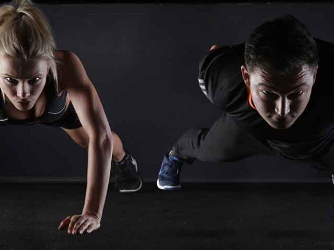 Kolejna witryna oparta na WordPressie