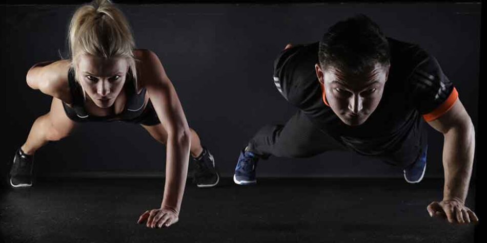 Kolejna witryna oparta na WordPressie